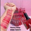 Thumbnail Labiales0
